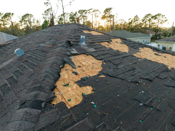 Best Emergency Roof Repair  in Crested Butte, CO