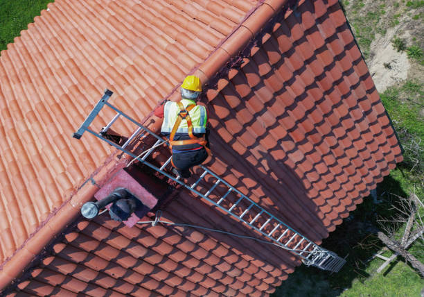 Best Roof Moss and Algae Removal  in Crested Butte, CO