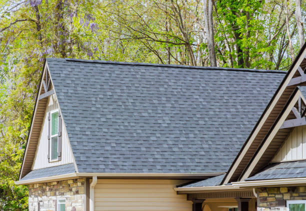 Best Asphalt Shingle Roofing  in Crested Butte, CO