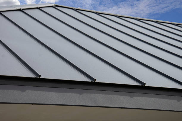 Best Solar Panel Roofing Installation  in Crested Butte, CO